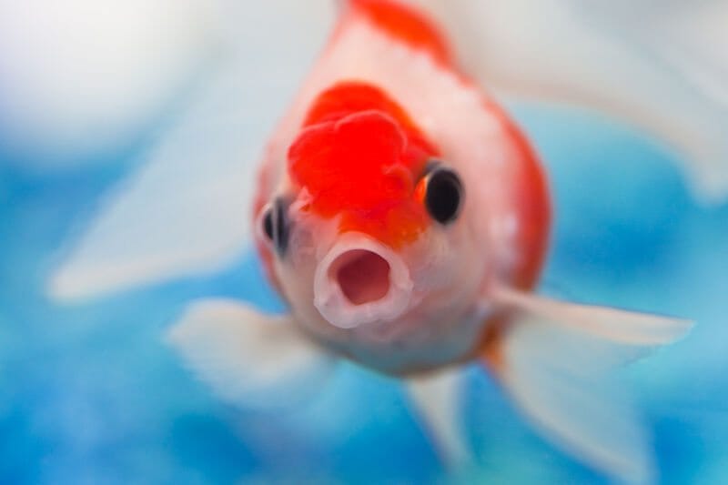 Sleep Apnea Symptoms Top Ten Signs of Sleep Apnea The CPAP Shop